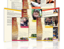Camphill Brochures
