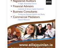 Eilis J Quinlan Roll Up Banner