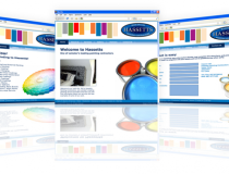Hassetts Website